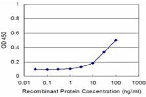 Detection limit for recombinant GST tagged AKAP12 is approximately 3ng/ml as a capture antibody. (AKAP12 anticorps  (AA 1675-1782))