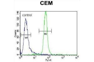 Flow Cytometry (FACS) image for anti-Muscle, Skeletal, Receptor Tyrosine Kinase (MUSK) antibody (ABIN3003399)