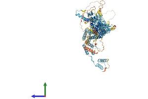 AlphaFold protein structure predicition of Mouse Recombinant Tubgcp5 Protein, UniprotID Q8BKN5