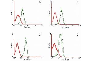 Flow cytometry analysis of 5-bromodeoxyuridin (BrdU) incorporation in CEM human acute lymphoblastic leukemia cell line using purified anti-5-bromodeoxyuridin (MoBu-1) (detection by Goat anti-mouse IgG1 FITC). (FAS anticorps)