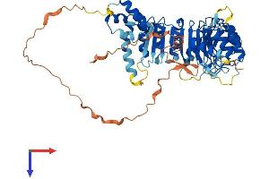 AlphaFold protein structure predicition of Human Recombinant FBXL6 Protein, UniprotID Q8N531