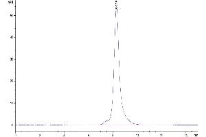 CD3D & CD3E (AA 23-108) protein (Fc Tag)