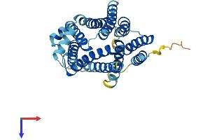 AlphaFold protein structure predicition of Human Recombinant SLC35A3 Protein, UniprotID Q9Y2D2
