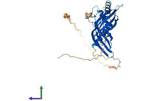 AlphaFold protein structure predicition of Human Recombinant RARRES1 Protein, UniprotID P49788