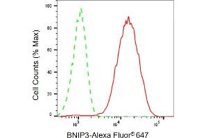 Flow cytometric analysis of BNIP3 expression in HepG2 cells using BNIP3 antibody (ABIN7797758), 1:1,000). (Recombinant BNIP3 anticorps)