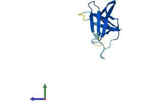 AlphaFold protein structure predicition of Mouse Recombinant Chtf8 Protein, UniprotID P0CG15