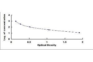 ELISA image for Osteogenic Growth Peptide (OGP) ELISA Kit (ABIN4947919)
