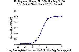 Immobilized Anti-NKG2A Antibody, hFc Tag at 2 μg/mL (100 μL/well) on the plate.