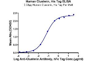 Immobilized Human Clusterin, His Tag at 0. (Clusterin Protein (CLU) (AA 23-449) (His tag))