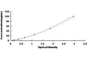 Heat Shock 70kDa Protein 1A (HSPA1A) ELISA Kit