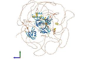 AlphaFold protein structure predicition of Human Recombinant IL16 Protein, UniprotID Q14005