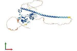 AlphaFold protein structure predicition of Mouse Recombinant Pspc1 Protein, UniprotID Q8R326