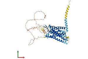 AlphaFold protein structure predicition of Mouse Recombinant C3ar1 Protein, UniprotID O09047