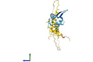 AlphaFold protein structure predicition of Human Recombinant MAGEH1 Protein, UniprotID Q9H213