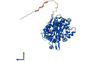 AlphaFold protein structure predicition of Human Recombinant XPNPEP3 Protein, UniprotID Q9NQH7