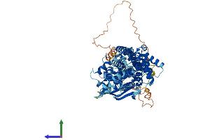 AlphaFold protein structure predicition of Mouse Recombinant Abcg1 Protein, UniprotID Q64343