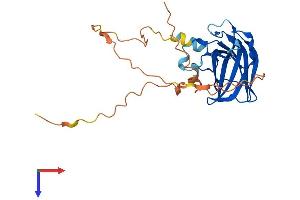AlphaFold protein structure predicition of Human Recombinant RIMS4 Protein, UniprotID Q9H426
