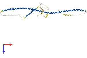AlphaFold protein structure predicition of Human Recombinant TUFT1 Protein, UniprotID Q9NNX1