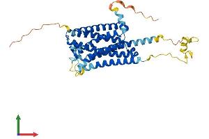 AlphaFold protein structure predicition of Mouse Recombinant Gpr173 Protein, UniprotID Q6PI62