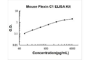 Plexin C1 (PLXNC1) ELISA Kit