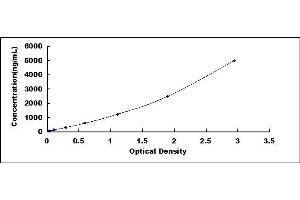 Typical standard curve (CSN2 Kit ELISA)