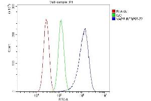 anti-VAMP (Vesicle-Associated Membrane Protein)-Associated Protein B and C (VAPB) (AA 2-55) antibody