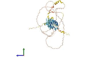 AlphaFold protein structure predicition of Mouse Recombinant Sp100 Protein, UniprotID O35892