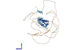AlphaFold protein structure predicition of Mouse Recombinant Hnf1a Protein, UniprotID P22361