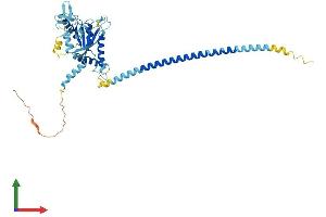 AlphaFold protein structure predicition of Mouse Recombinant Septin14 Protein, UniprotID Q9DA97