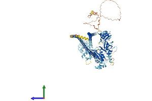 AlphaFold protein structure predicition of Mouse Recombinant Card14 Protein, UniprotID Q99KF0