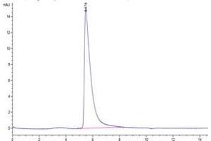 High Pressure Liquid Chromatography (HPLC) image for SARS-CoV-2 Spike (Active) protein (His-Avi Tag) (ABIN6953018)