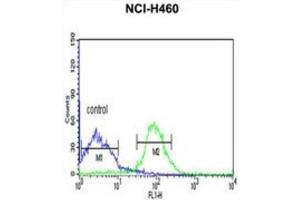 Flow Cytometry (FACS) image for anti-FK506 Binding Protein 9, 63 KDa (FKBP9) antibody (ABIN3003182)