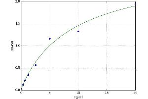 A typical standard curve