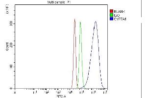 Flow Cytometry analysis of SiHa cells using anti-CYP7A1 antibody (ABIN3042786).