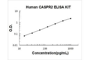 Typical Standard Curve