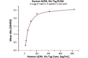 Immobilized Human R-Spondin 3 at 2 μg/mL (100 μL/well) can bind Human LGR4, His Tag (ABIN6973144) with a linear range of 10-78 ng/mL (QC tested).