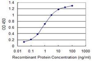 Detection limit for recombinant GST tagged MAGI2 is 0.