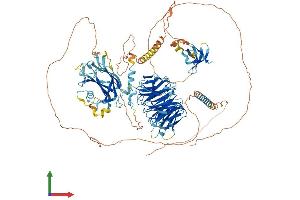 AlphaFold protein structure predicition of Mouse Recombinant Ahi1 Protein, UniprotID Q8K3E5