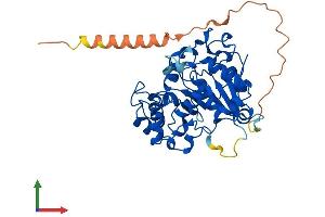 AlphaFold protein structure predicition of Human Recombinant ST6GALNAC2 Protein, UniprotID Q9UJ37
