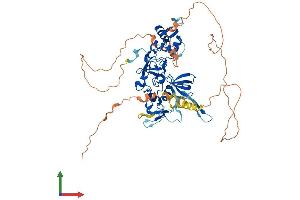 AlphaFold protein structure predicition of Human Recombinant PHF19 Protein, UniprotID Q5T6S3