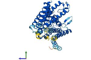AlphaFold protein structure predicition of Mouse Recombinant Porcn Protein, UniprotID Q9JJJ7
