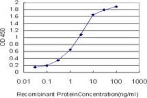 Detection limit for recombinant GST tagged TSC22D1 is approximately 0. (TSC22D1 anticorps  (AA 1-144))