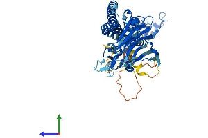 AlphaFold protein structure predicition of Human Recombinant TRIM49 Protein, UniprotID P0CI25