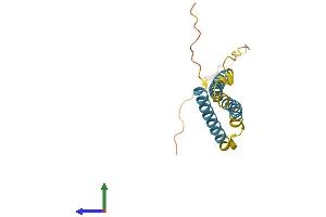 AlphaFold protein structure predicition of Human Recombinant NINJ1 Protein, UniprotID Q92982