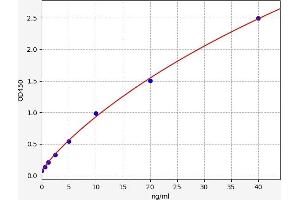 Cathepsin L1 (CTSL1) ELISA Kit