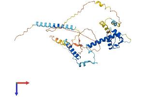 AlphaFold protein structure predicition of Human Recombinant ABRA Protein, UniprotID Q8N0Z2