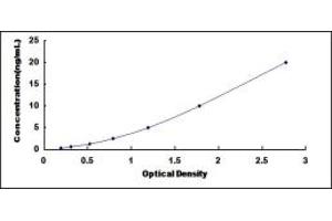 Aldehyde Oxidase 1 (AOX1) ELISA Kit