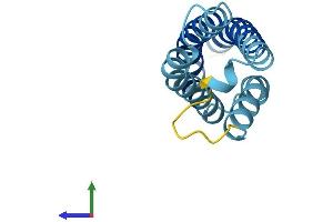 AlphaFold protein structure predicition of Human Recombinant CNIH1 Protein, UniprotID O95406