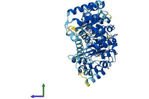 AlphaFold protein structure predicition of Human Recombinant LRRC14 Protein, UniprotID Q15048