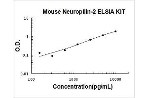 Mouse Neuropilin-2 PicoKine ELISA Kit standard curve